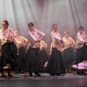 Fotografía de Talleres Danza Española (galería 2) - Conservatorio de Danza
